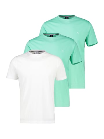 Lerros T-Shirt Basic in Mint / weiß