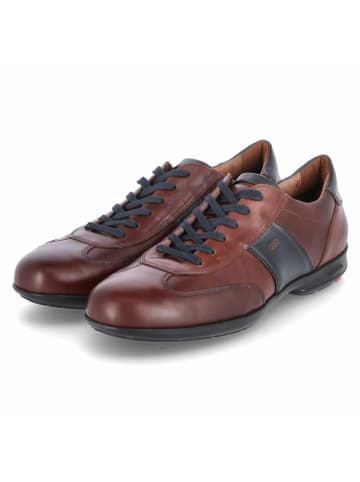 LLOYD Low Sneaker AKIN  in Braun