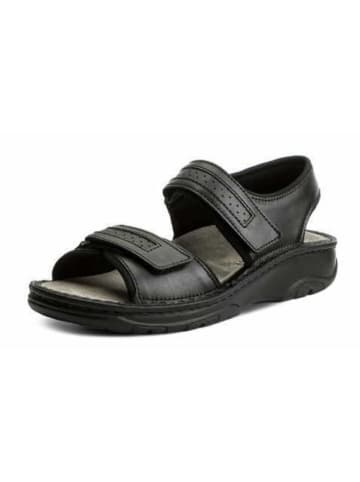 Berkemann Sandalen in schwarz