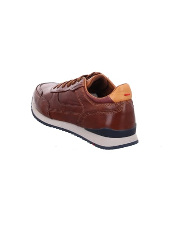 LLOYD Sneaker Low in Braun