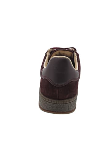 Gant Cuzima Sneaker low Rot