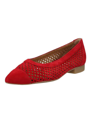 Paul Green Ballerinas Chili