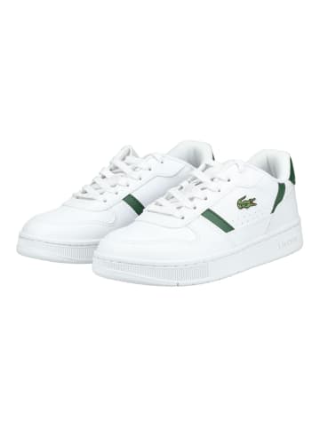 Lacoste Sneaker in Weiß/Grün