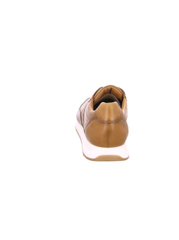 LLOYD Sneaker für Herren in camel