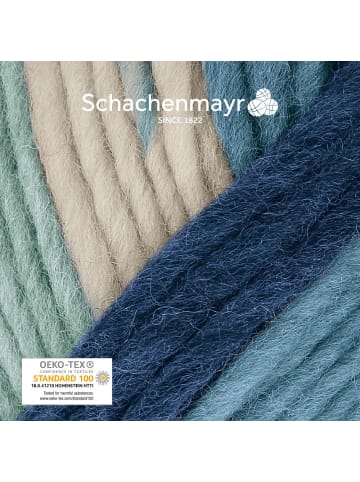 Schachenmayr since 1822 Filzgarne Wash+Filz-it! Multicolor, 50g in Casual Stripes multicolor