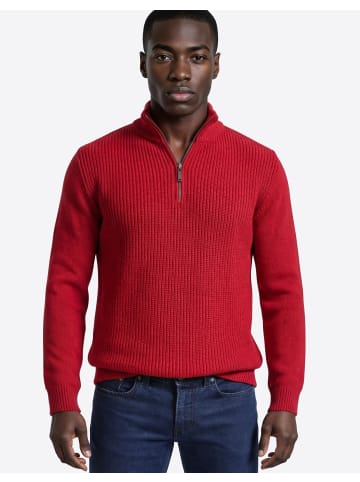 Pierre Cardin Pullover in Scarlet Sage