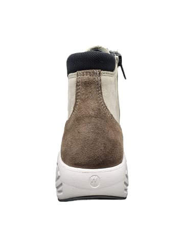 wolky Schnürstiefeletten in Beige