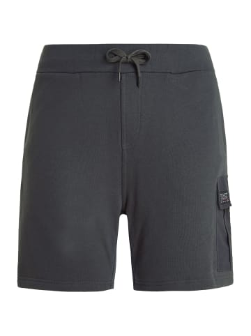 Protest M PRTOHREN JOGGING SHORT in Grau