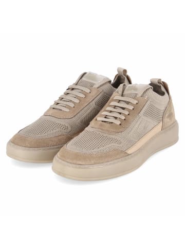 Bullboxer Sneaker in beige