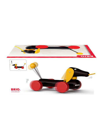 Brio Aktionsspiel BRIO Infant/ Toddler - Dackel 9-12 Monate in bunt