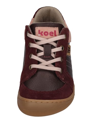 KOEL Sneaker Low DION TEX in rot