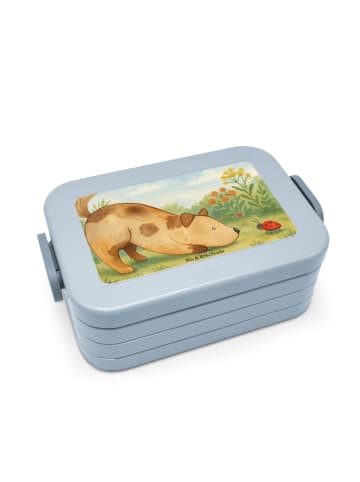 Mr. & Mrs. Panda Bento Box Hund Marienkäfer Design ohne Spruch in Blau Pastell