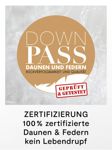 Daunenkönig ROYAL Kopfkissen ''FEST'' in Weiß