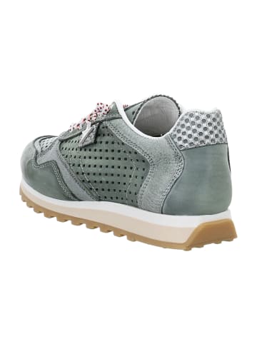 Cetti Sneaker Low in Grün
