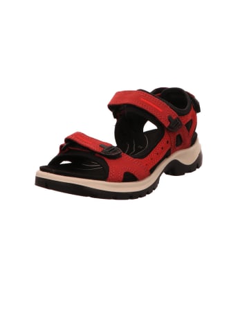 Ecco Sandale in rot