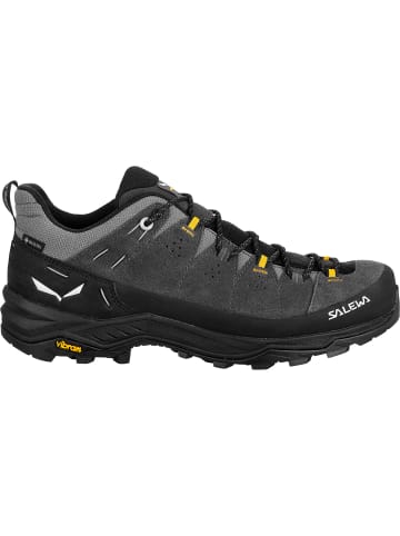 Salewa ALP TRAINER 2 GTX M in Hellgrau0876