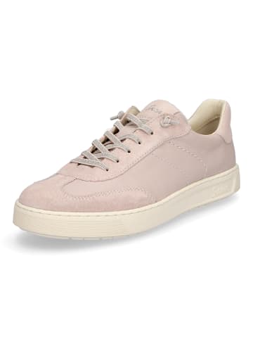 Sioux Sneaker Maites 008 in Rosa