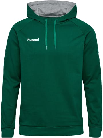 Hummel Baumwoll-Hoodie Hmlgo Cotton Hoodie in EVERGREEN