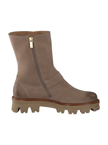 Paul Green Boots in Beige
