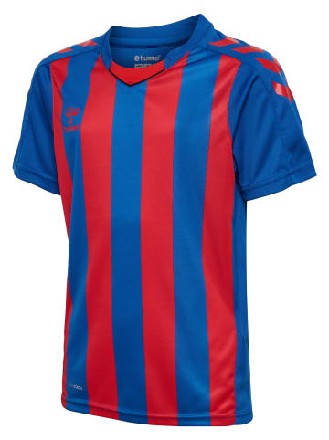 Hummel T-Shirt Hmlcore Kinder in TRUE BLUE/TRUE RED