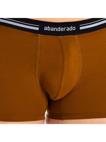 Abanderado Boxershorts in Brown