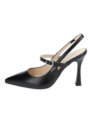 Nero Giardini Pumps in Schwarz