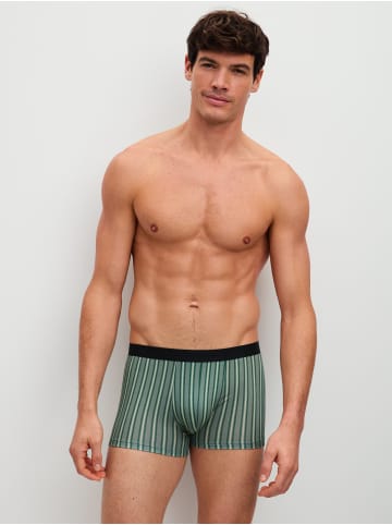 Calida New Boxer, 3er-Pack in agave green