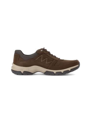 Pius Gabor Sneaker low in braun