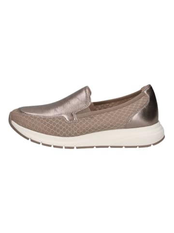Caprice Slipper in Taupe
