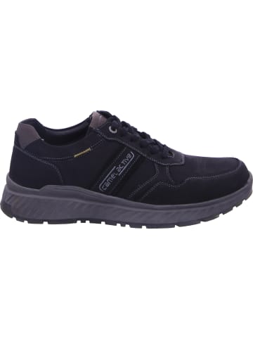 Camel Active Schnürschuh in schwarz