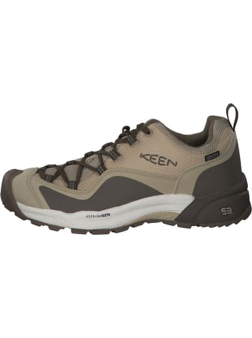 Keen Trekkingschuhe in safari/timberwolf