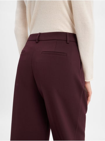 More & More Hose in aubergine