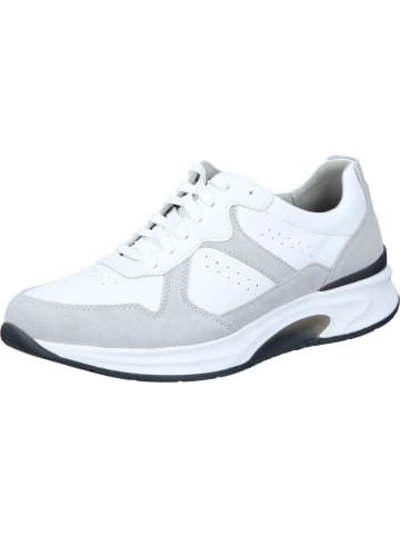 Pius Gabor Schnürschuhe, Sneakers Low in lt.grey/white