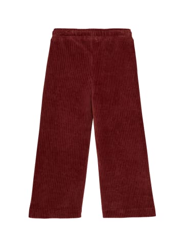 Noppies Hose Pima in Tandoori Spice