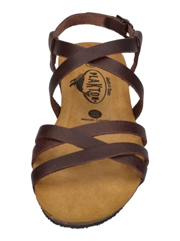 Plakton Sandalen FRAN VALI 405184 in braun