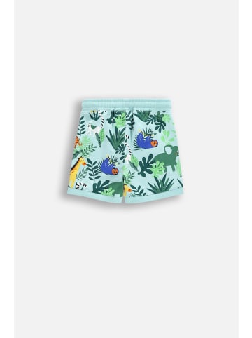 Coccodrillo Kurze Hosen in bunt