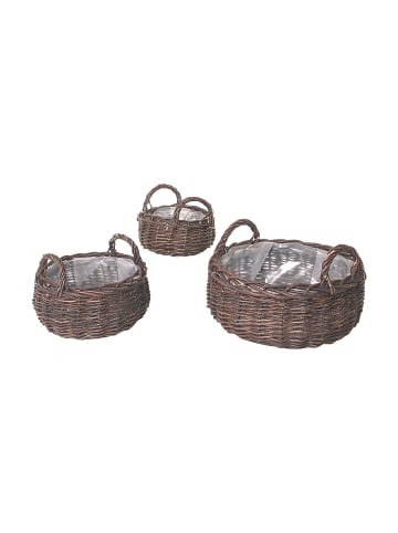 kobolo 3tlg. Set Blumentopf BROWNPLANT3 in Braun