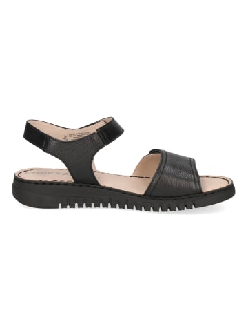 Caprice Sandalen in Schwarz