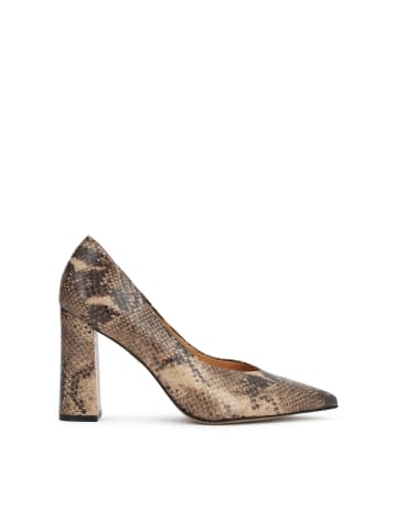 Kazar Pumps in Beige