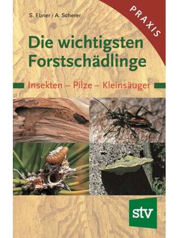 Leopold Stocker Verlag Die wichtigsten Forstschädlinge | Insekten - Pilze - Kleinsäuger