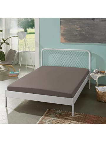 Erwin Müller Single-Jersey Spannbettlaken Regensburg in braun