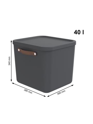 Rotho 2er-Set Aufbewahrungskiste 40l in Holzkohle schwarz ged.