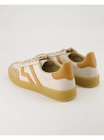 Gant Sportliche Schnürschuhe in Beige