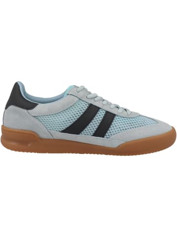 Steve Madden Sneaker low Verdict in blau