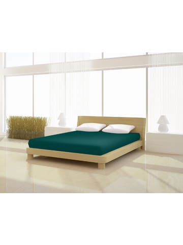 Mr.Sandman Spannbetttuch Full Elastan de luxe 90-100 x 200-220 cm in moos