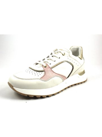 Noclaim sneakers dames sale