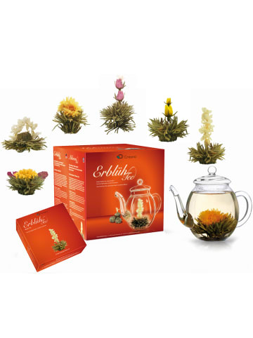Creano 3x Teeblumen Geschenkset - 6x Grüner, 6x Weißer, 6x Mix inkl. Teekannen 0.5l 