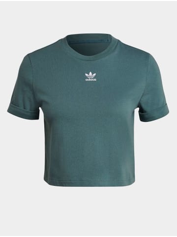adidas adidas Cropped T-Shirts in hazy emerald