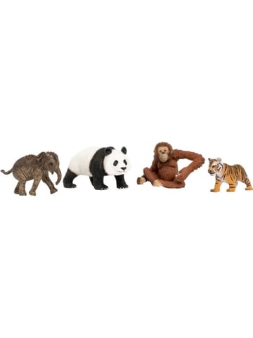 Schleich Schleich Wild Life Asien Starter-Set in Mehrfarbig ab 3 Jahre