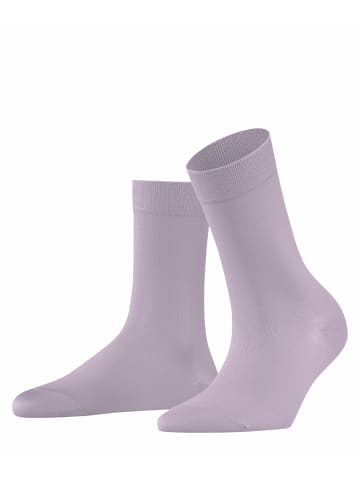 Falke Socken Cotton Touch in Lilac tint